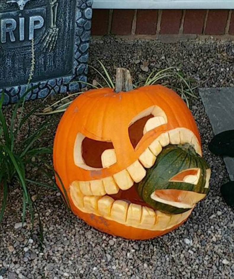 Gewoon een verzameling hilarische foto's #728