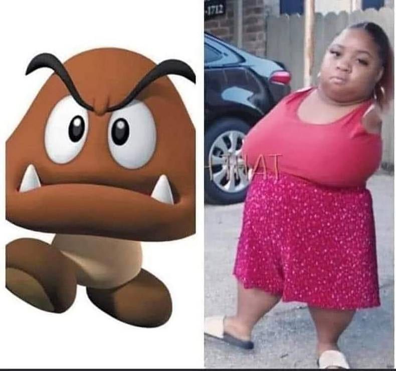 Gewoon een verzameling hilarische foto’s #1326