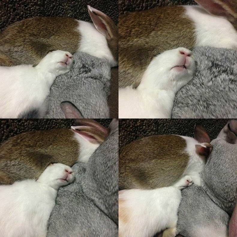 Gewoon een verzameling hilarische foto's #1179