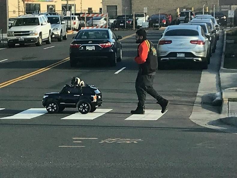 Gewoon een verzameling hilarische foto's #1096