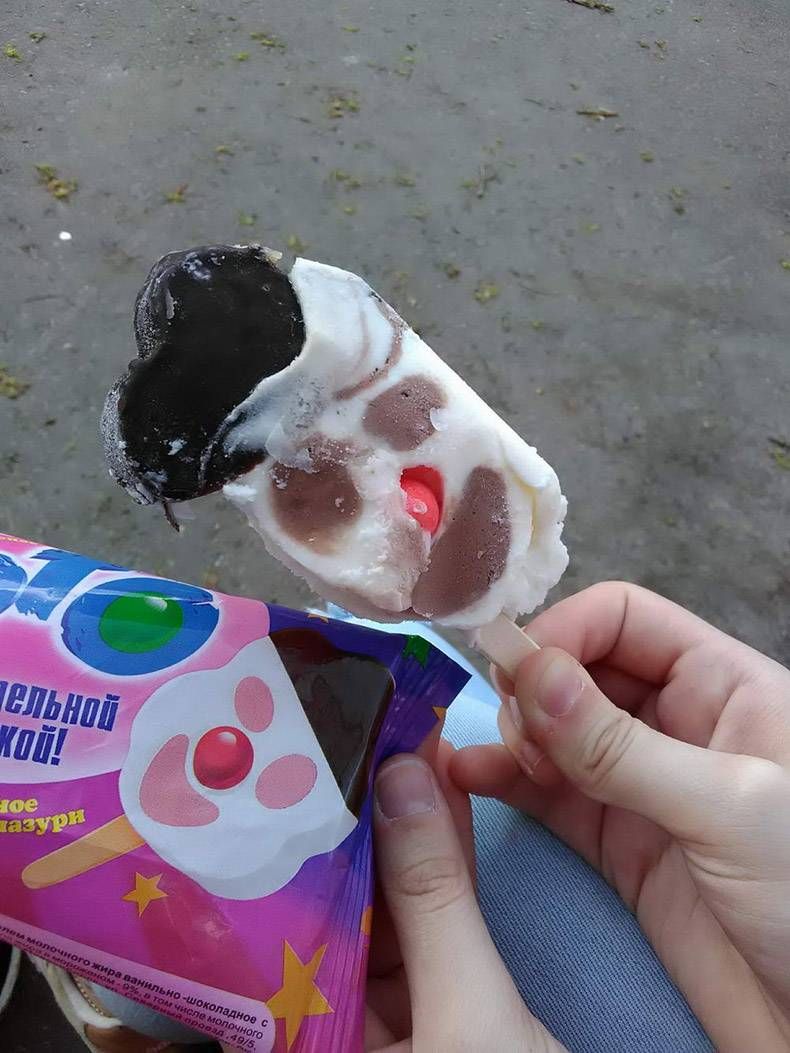 Gewoon een verzameling hilarische foto’s #1336