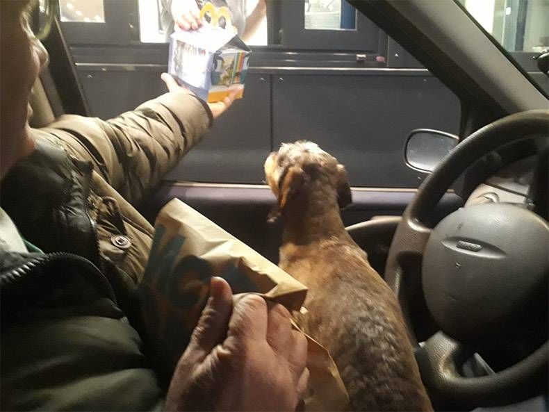 Gewoon een verzameling hilarische foto's #1123