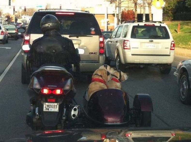 Gewoon een verzameling hilarische foto's #874