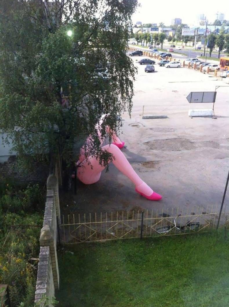 Gewoon een verzameling hilarische foto's #852