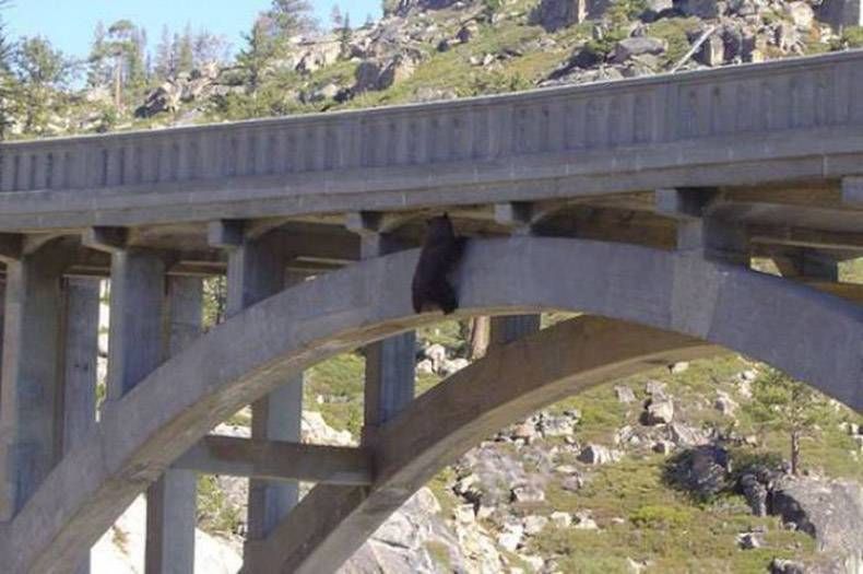 Gewoon een verzameling hilarische foto's #823