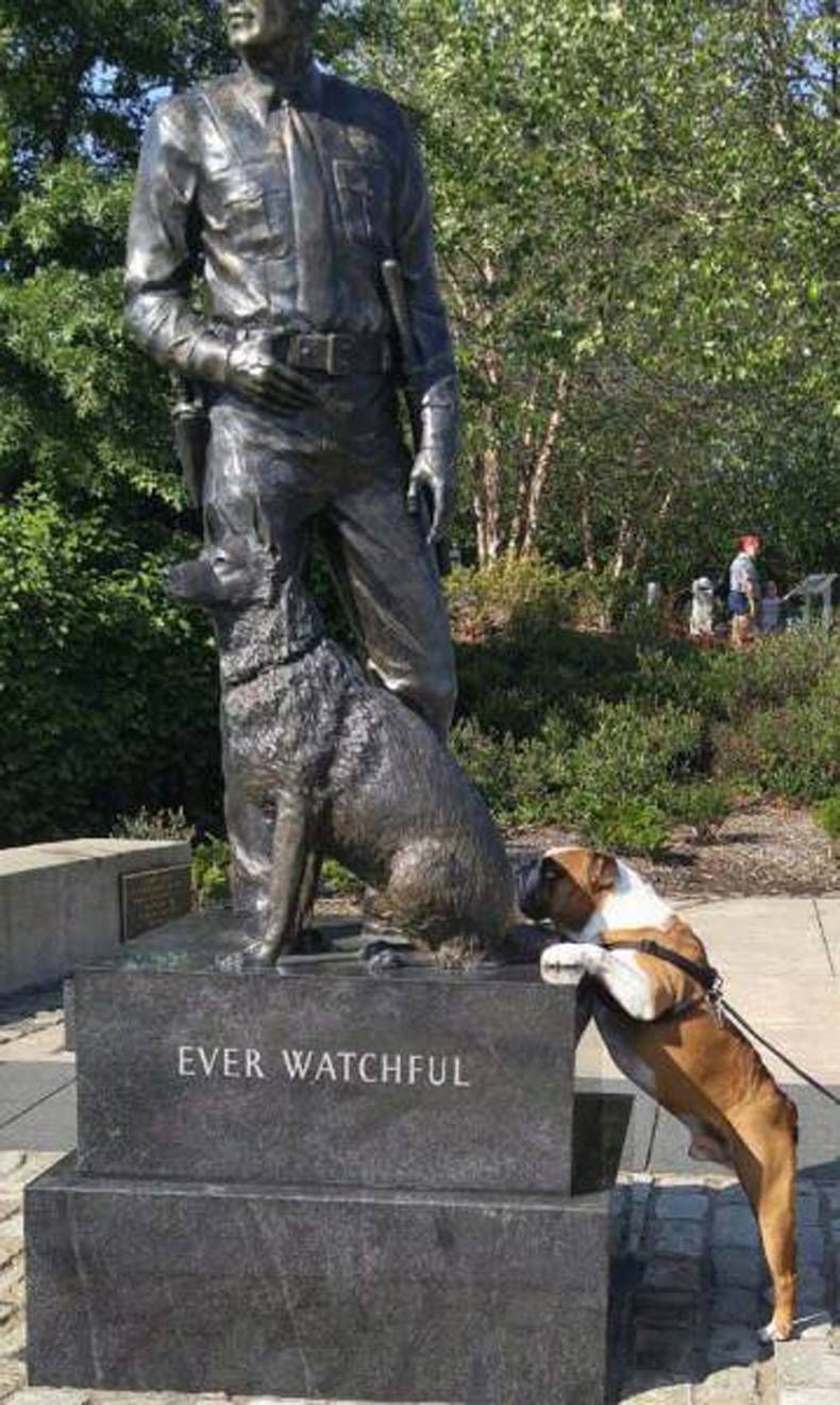 Gewoon een verzameling hilarische foto's #728