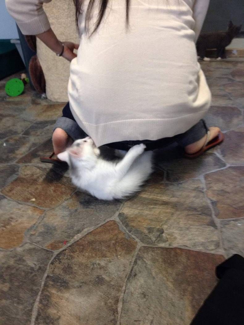 Gewoon een verzameling hilarische foto’s #1336