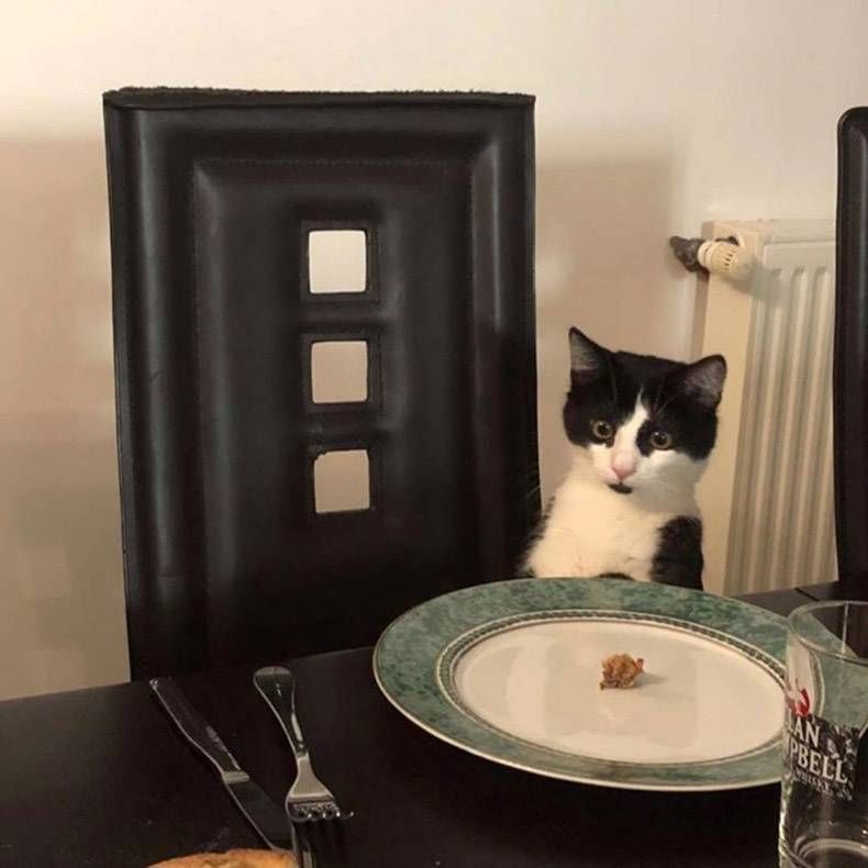 Gewoon een verzameling hilarische foto's #1205