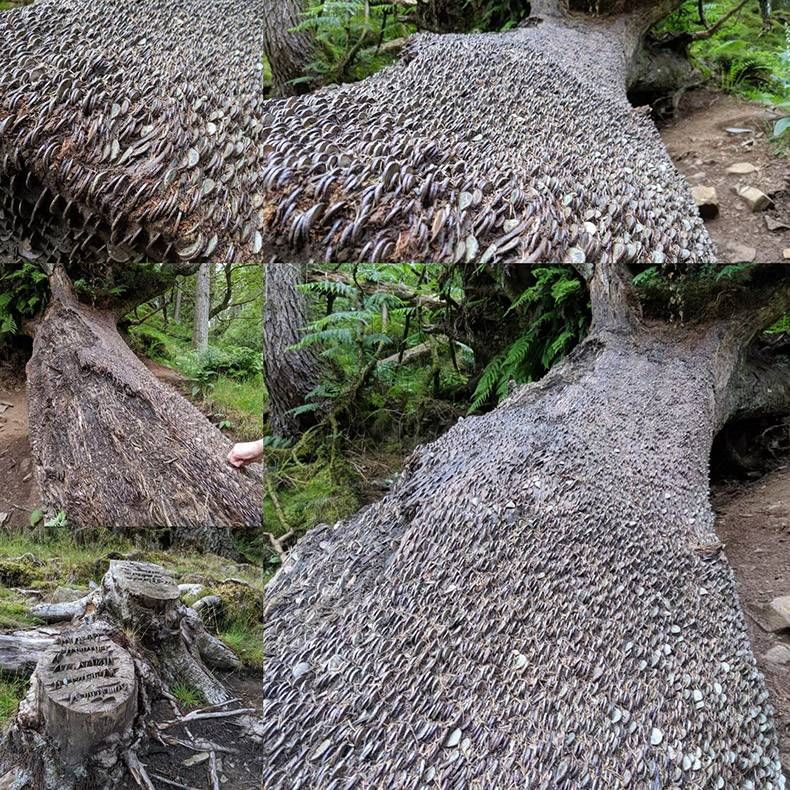 Gewoon een verzameling hilarische foto's #1152