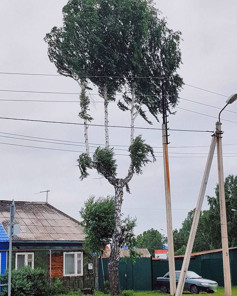 Gewoon een verzameling hilarische foto's #1139