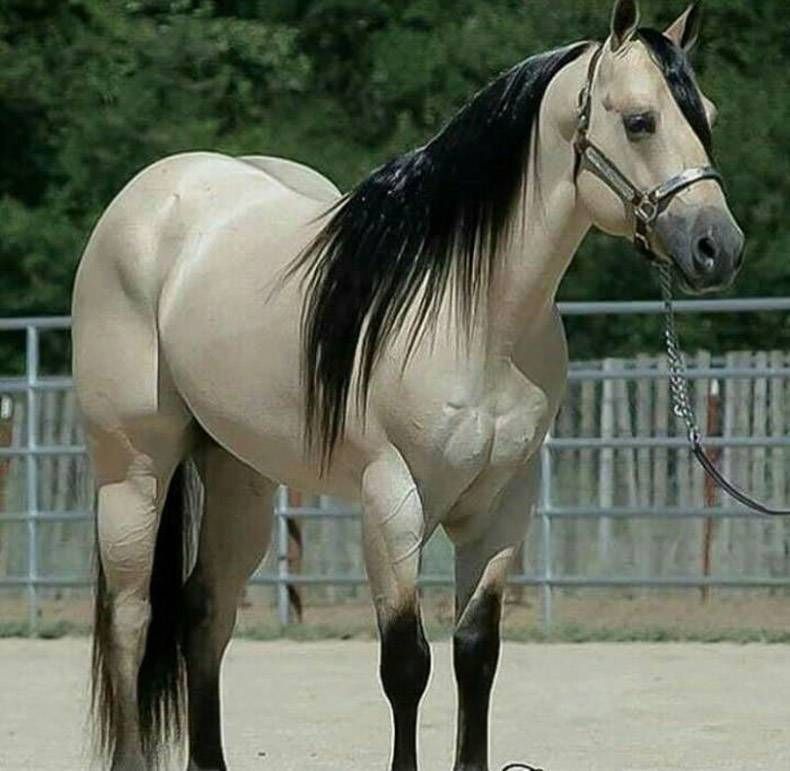 Gewoon een verzameling hilarische foto's #759