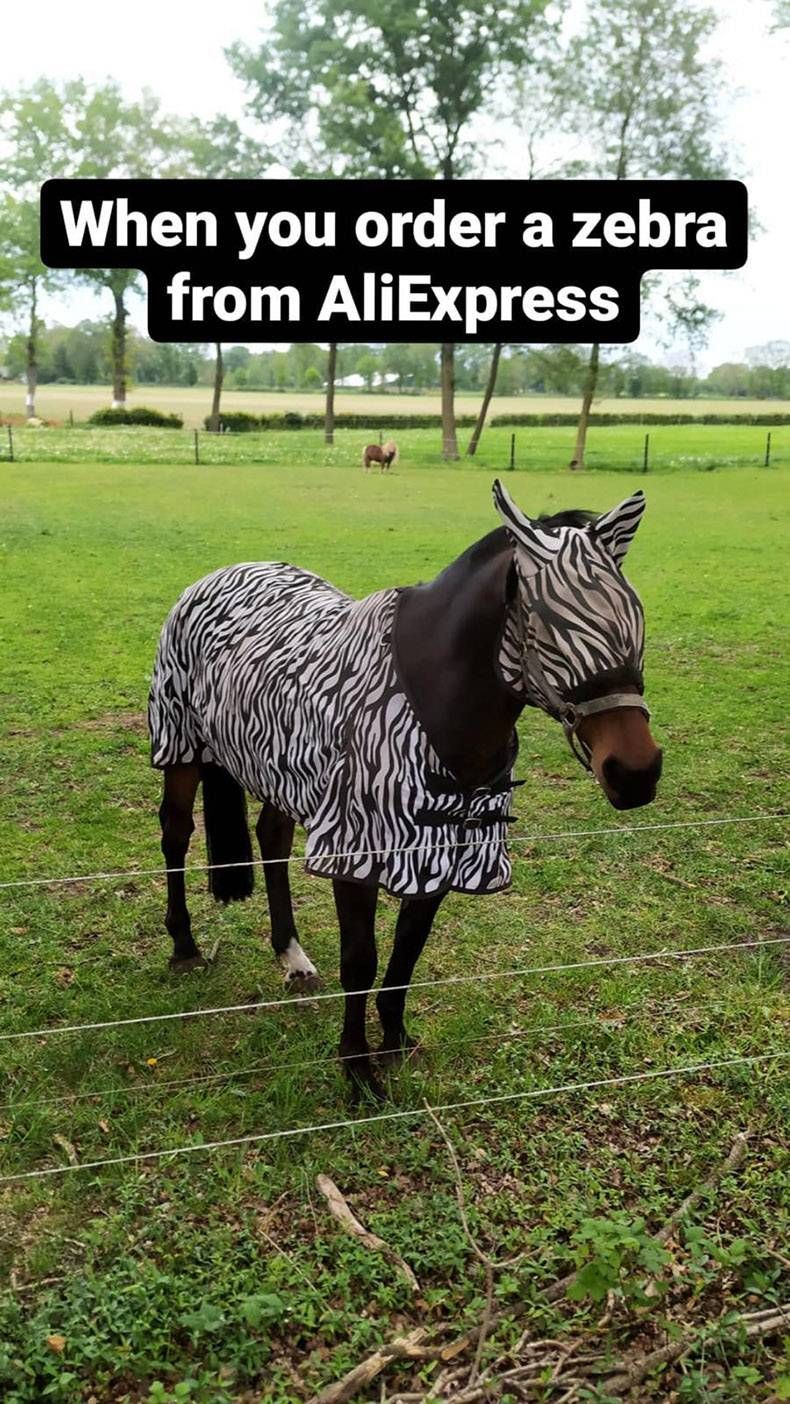 Gewoon een verzameling hilarische foto’s #1284