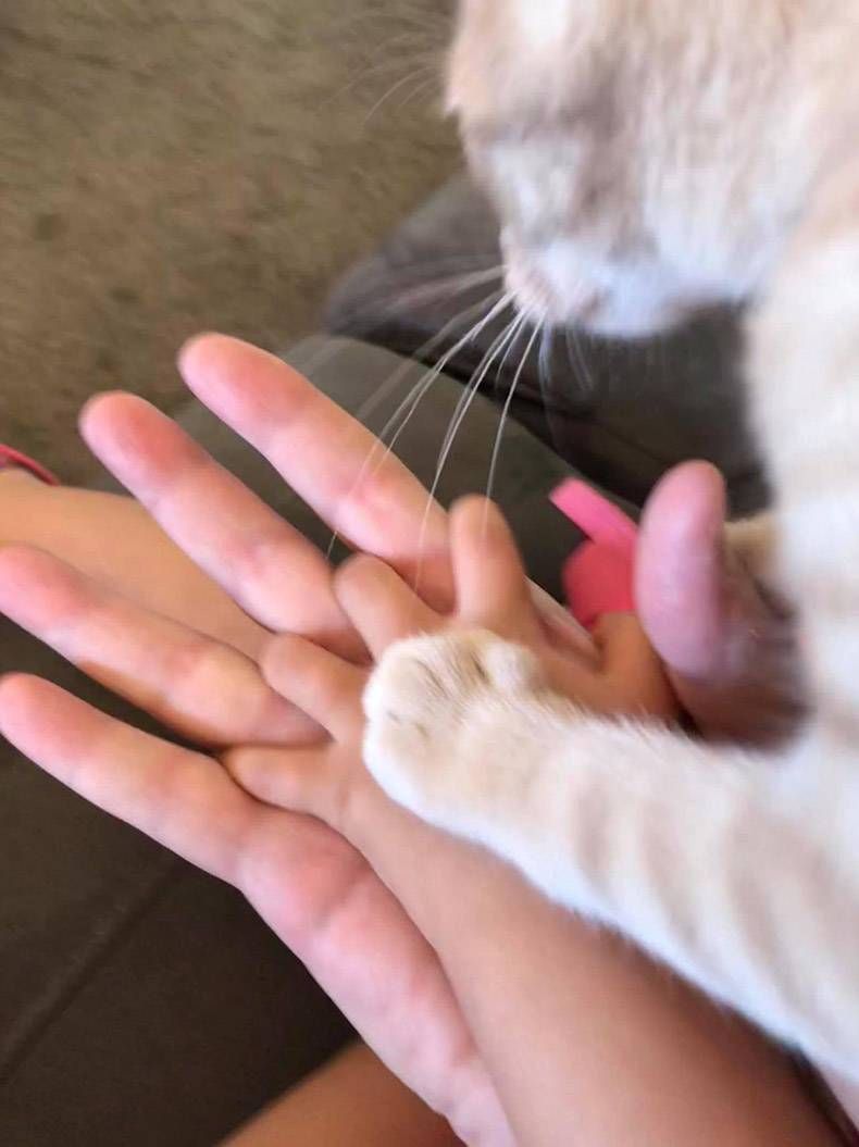 Gewoon een verzameling hilarische foto's #1173