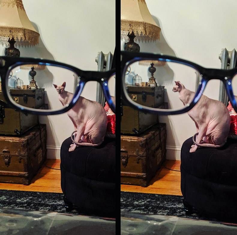 Gewoon een verzameling hilarische foto's #1159