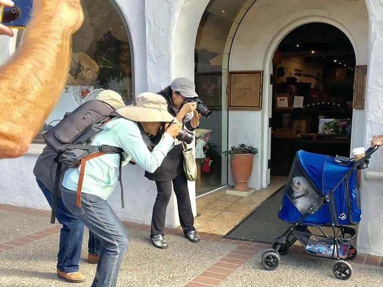 Gewoon een verzameling hilarische foto's #1096