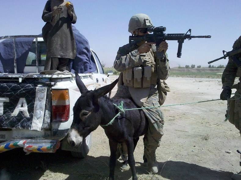 Gewoon een verzameling hilarische foto's #1089