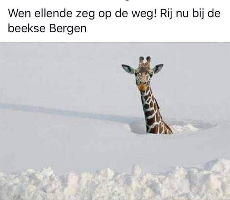 Gewoon een verzameling hilarische foto's #1079