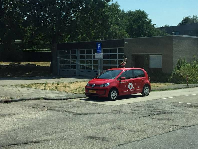 Gewoon een verzameling hilarische foto's #992