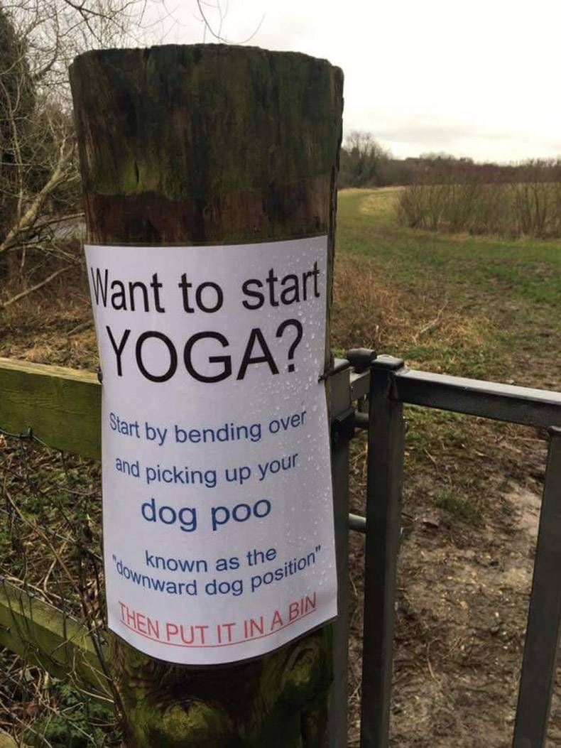 Gewoon een verzameling hilarische foto's #925