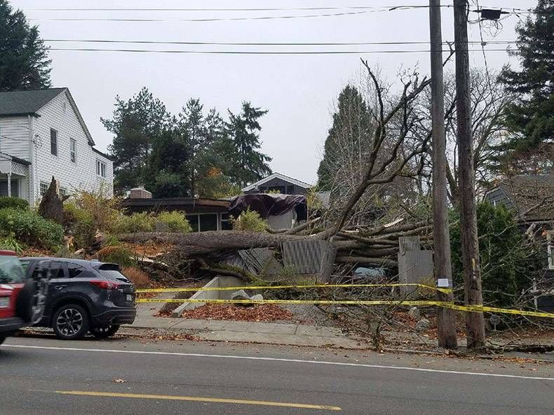 Gewoon een verzameling hilarische foto's #893