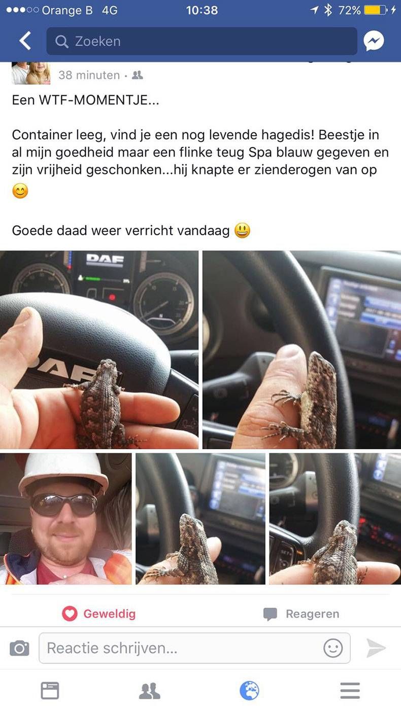 Gewoon een verzameling hilarische foto's #825