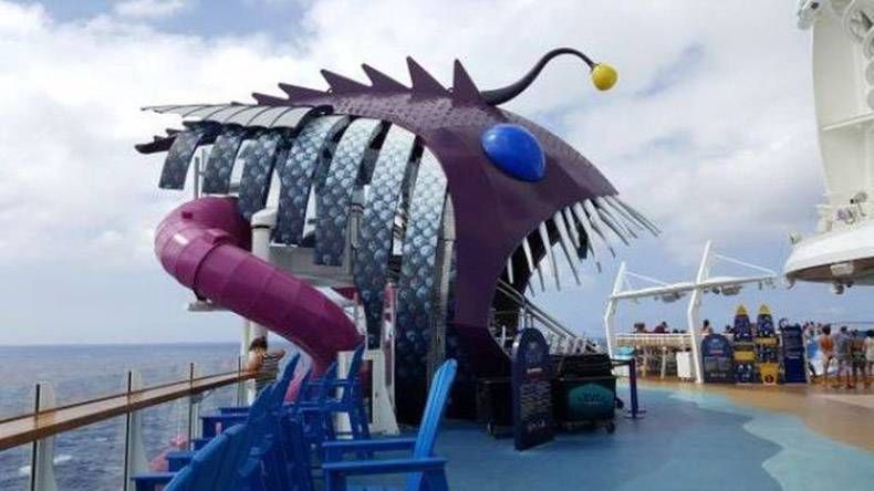 Gewoon een verzameling hilarische foto's #823