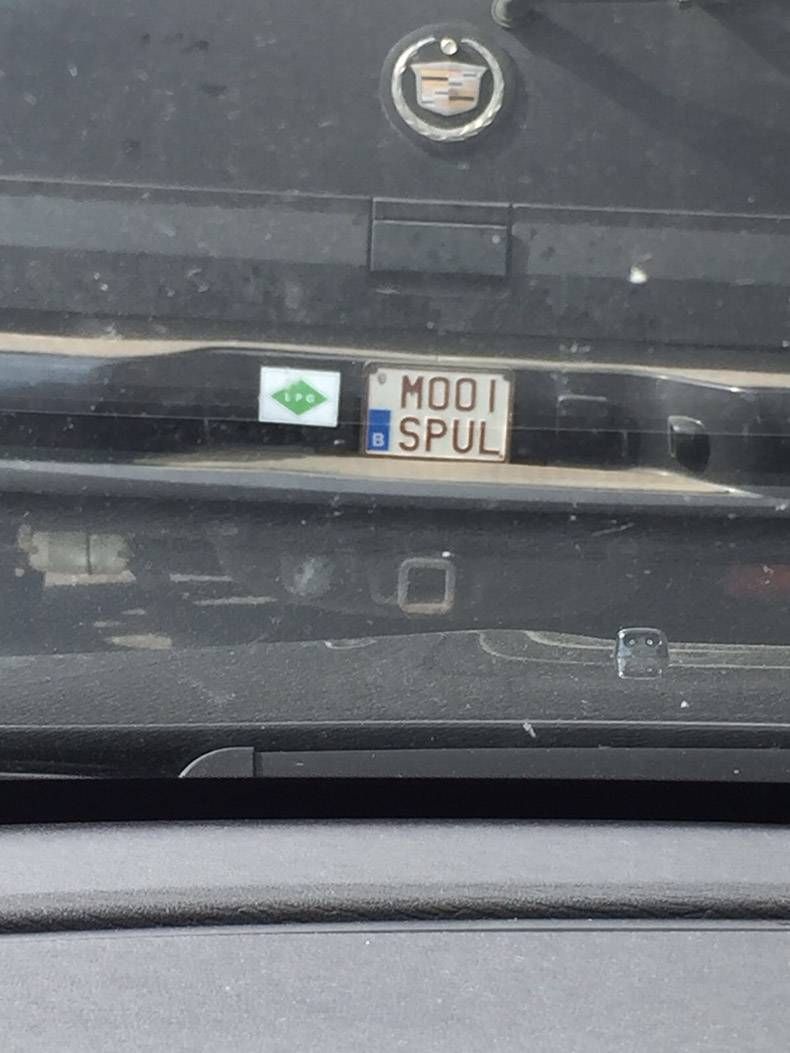 Gewoon een verzameling hilarische foto's #803