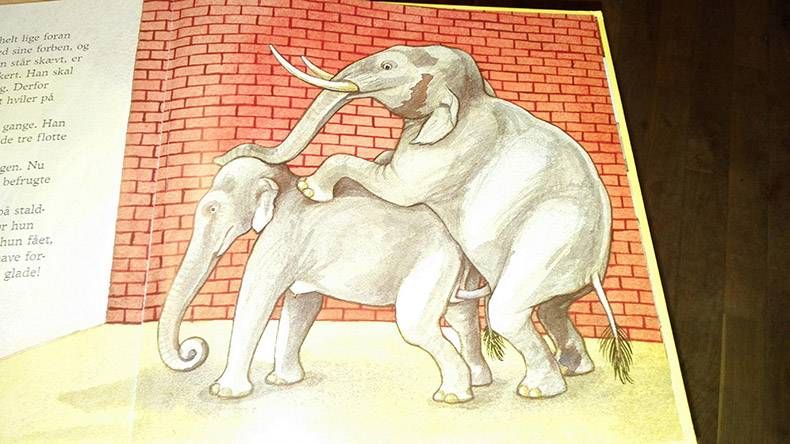 Gewoon een verzameling hilarische foto's #772