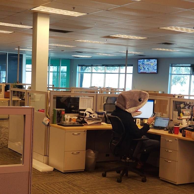 Gewoon een verzameling hilarische foto's #1190