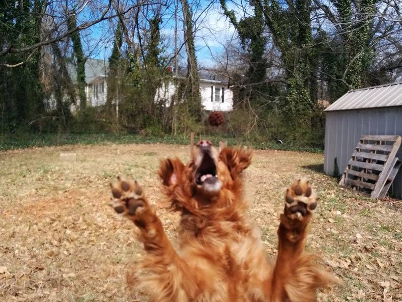 Gewoon een verzameling hilarische foto's #1120