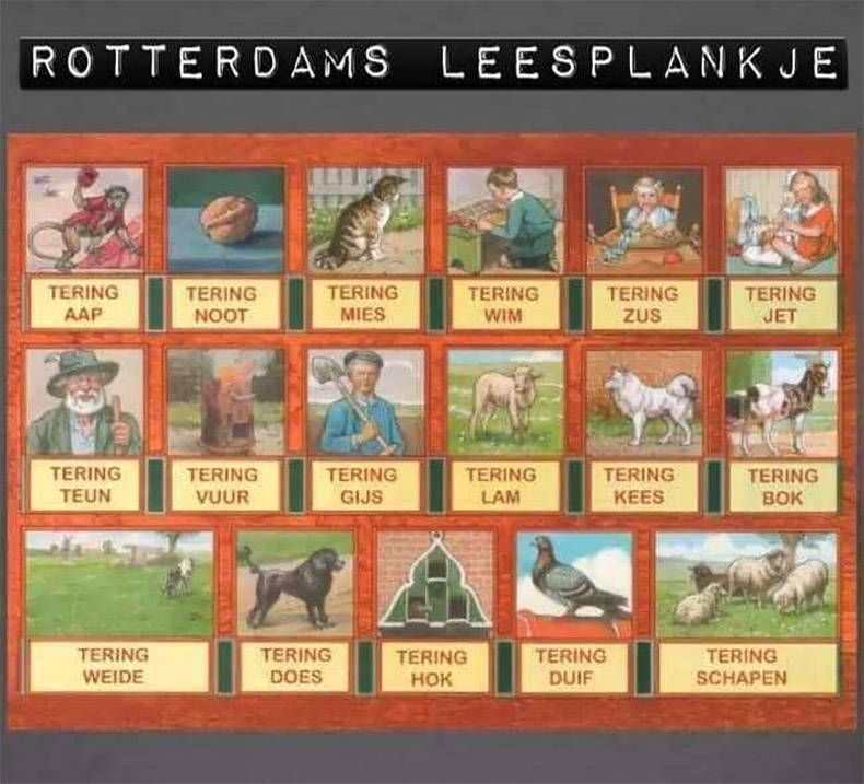 Gewoon een verzameling hilarische foto's #1069