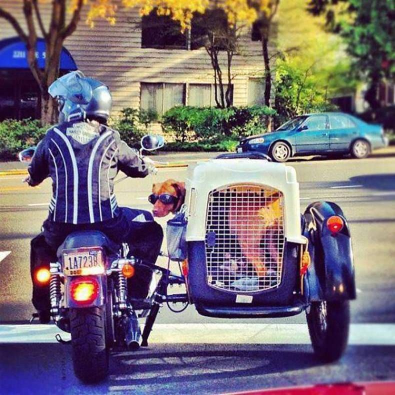 Gewoon een verzameling hilarische foto's #933