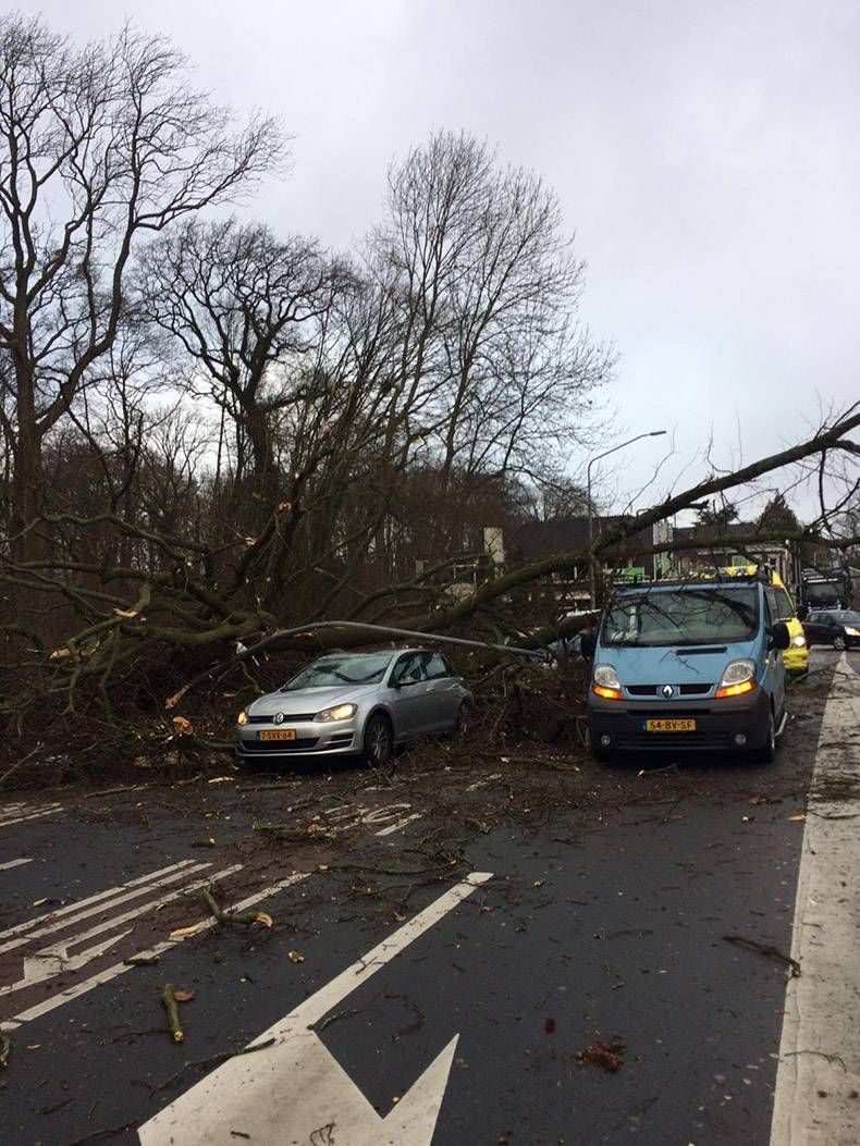 Gewoon een verzameling hilarische foto’s #921