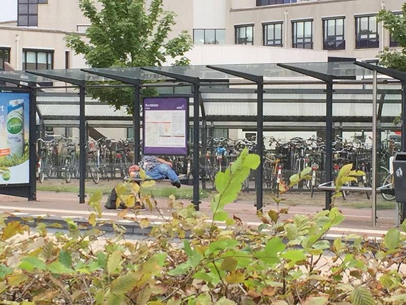 Gewoon een verzameling hilarische foto's #863