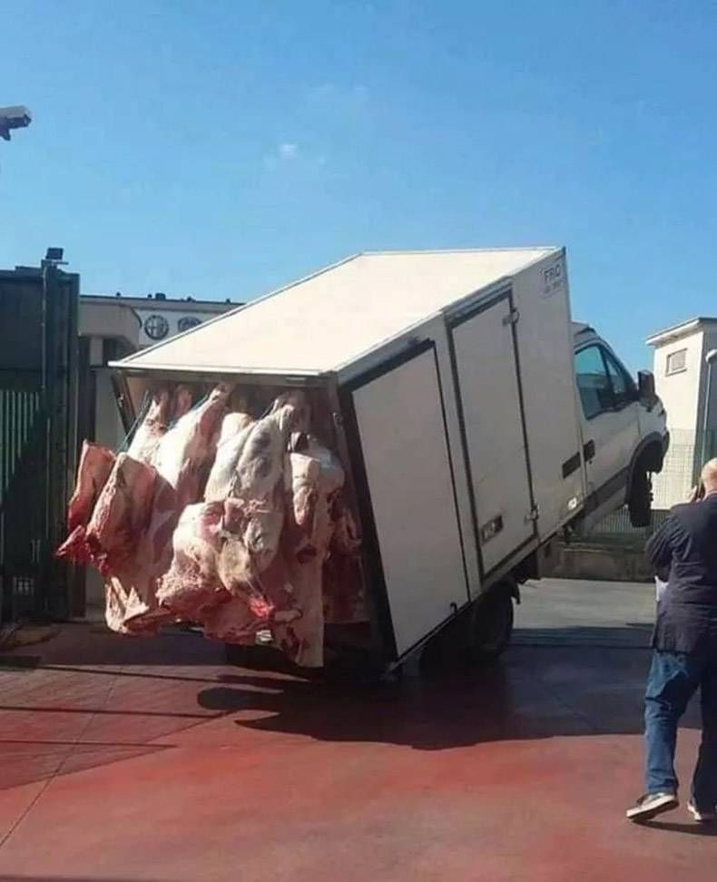 Gewoon een verzameling hilarische foto's #1222