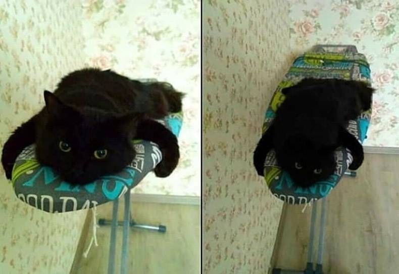 Gewoon een verzameling hilarische foto's #1159