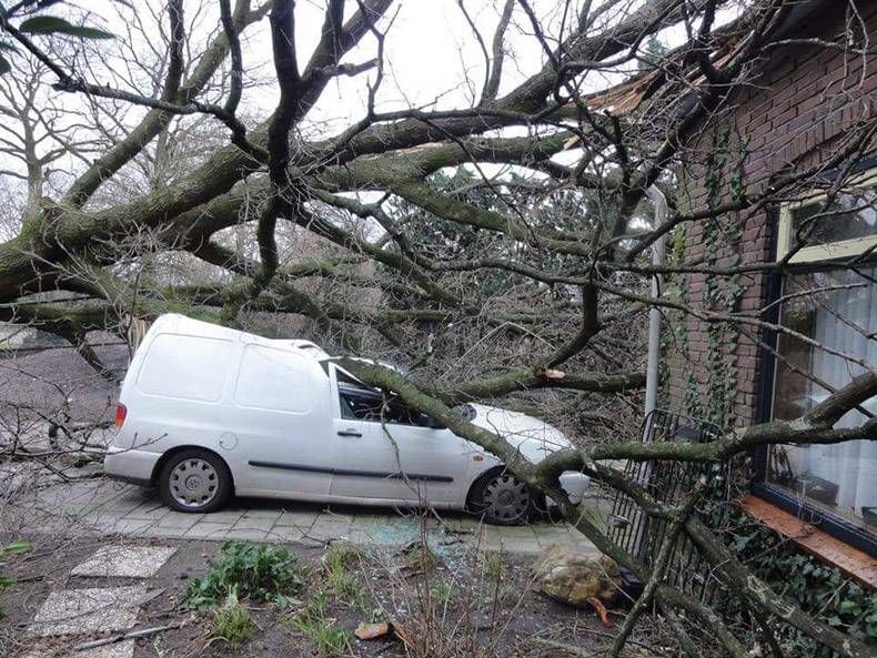 Gewoon een verzameling hilarische foto’s #921