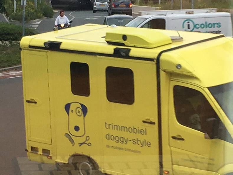 Gewoon een verzameling hilarische foto's #863