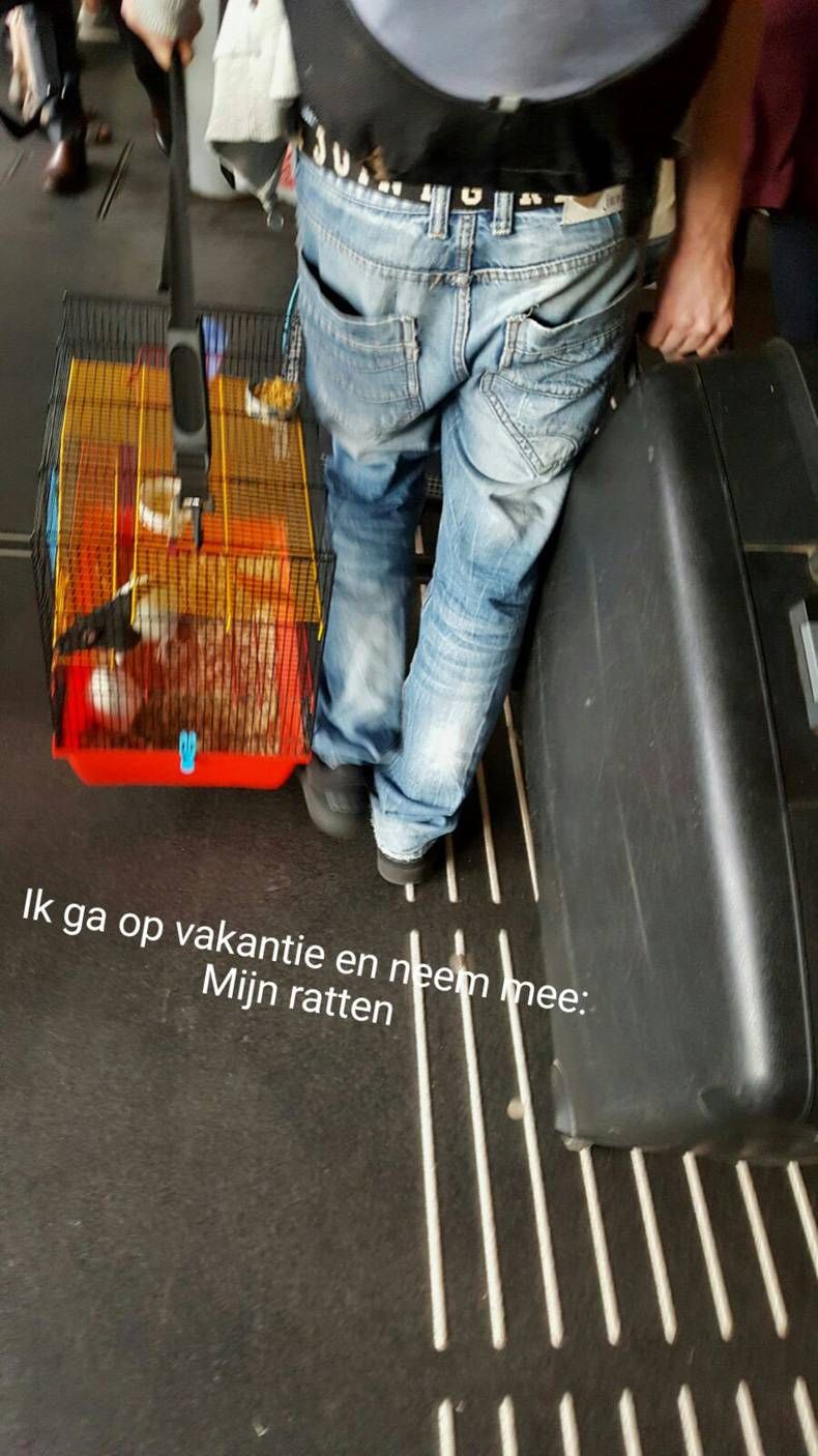 Gewoon een verzameling hilarische foto's #704