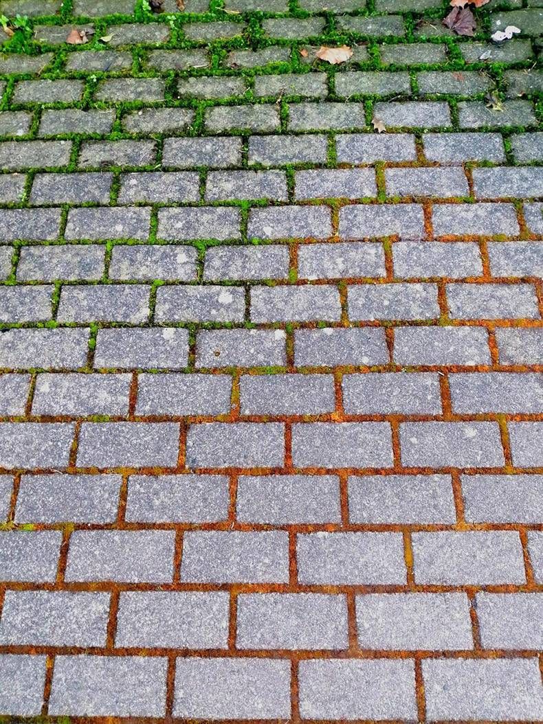 Gewoon een verzameling hilarische foto's #1244