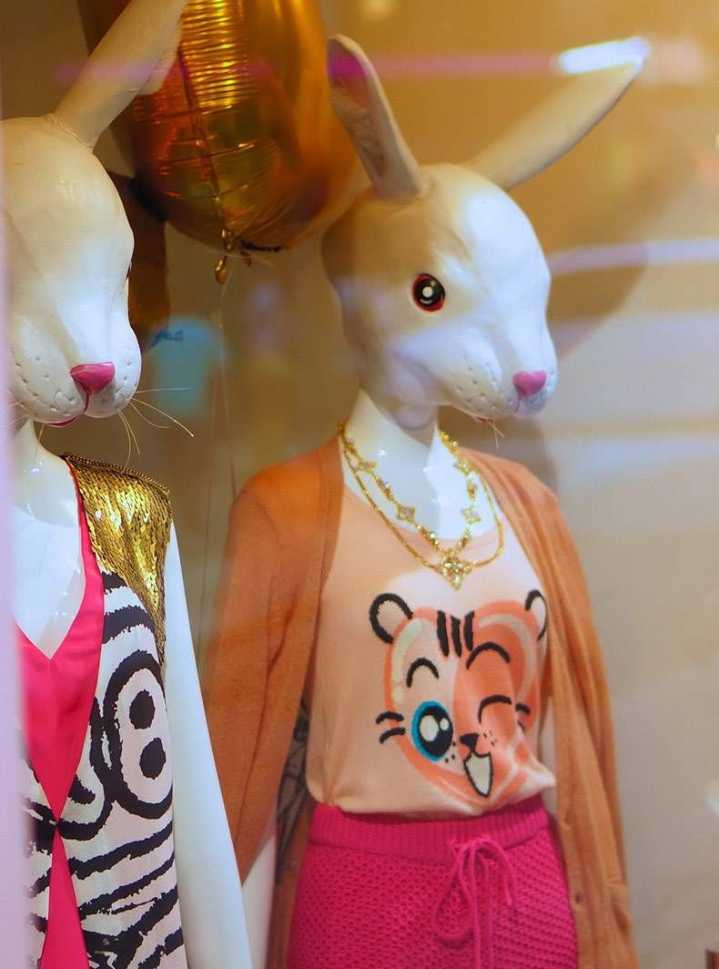 Gewoon een verzameling hilarische foto's #1205