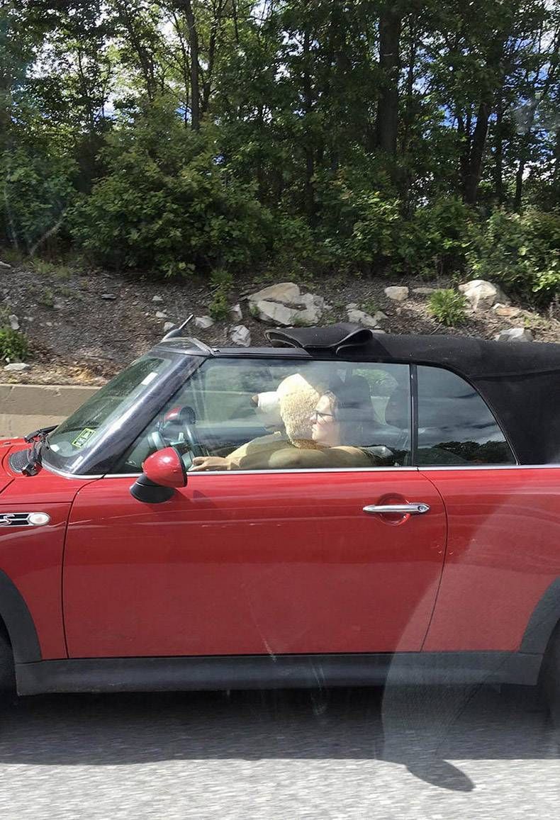 Gewoon een verzameling hilarische foto's #1139