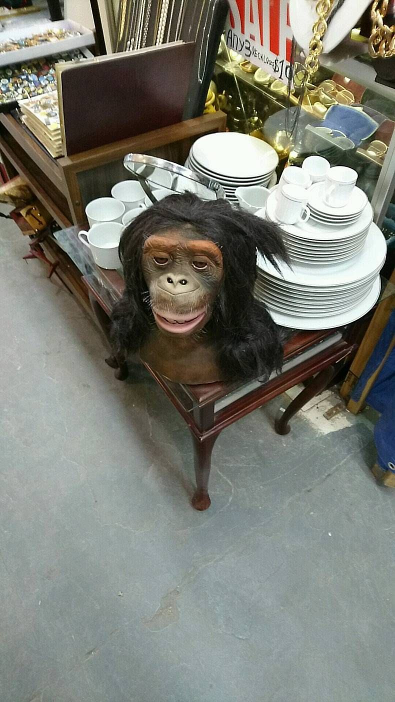 Gewoon een verzameling hilarische foto's #778