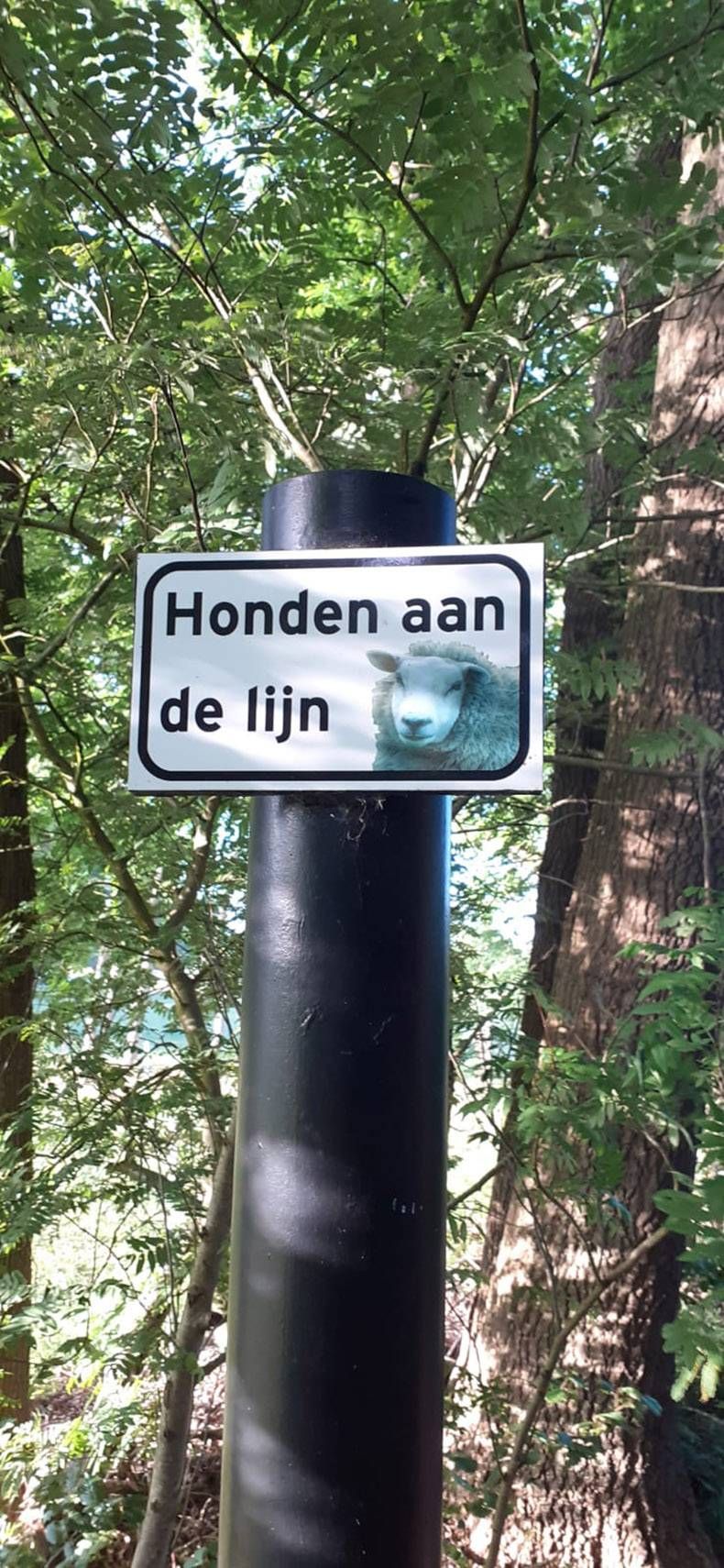 Gewoon een verzameling hilarische foto's #1291