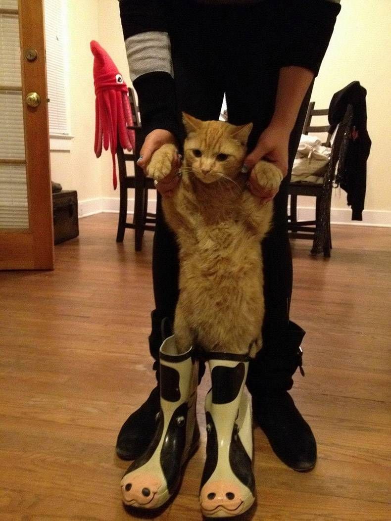 Gewoon een verzameling hilarische foto's #1244