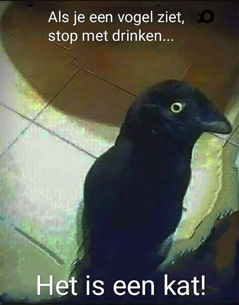 Gewoon een verzameling hilarische foto's #1069