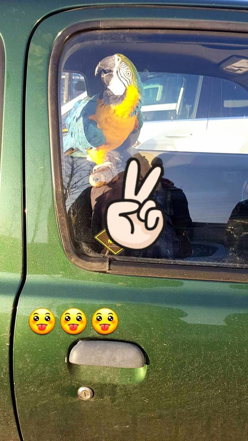 Gewoon een verzameling hilarische foto's #934
