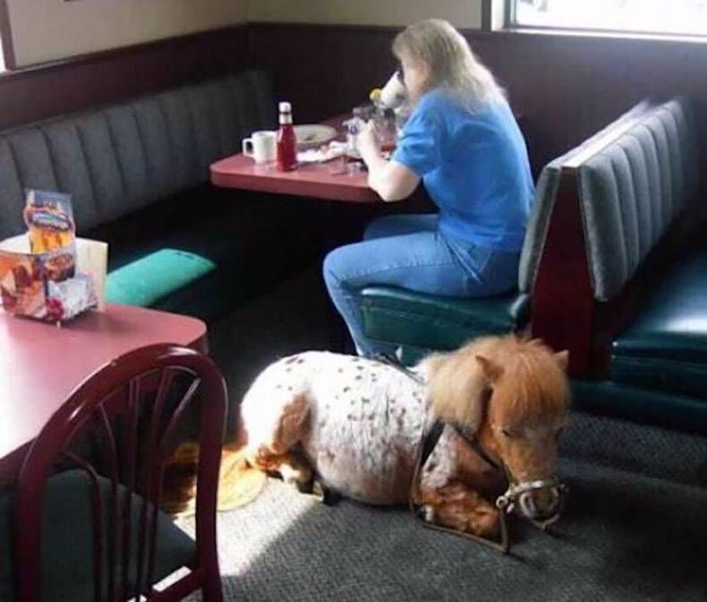 Gewoon een verzameling hilarische foto's #895