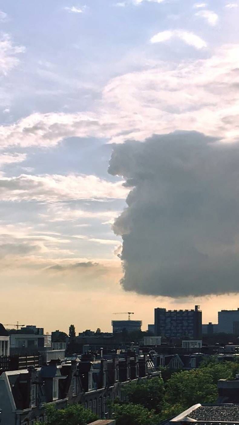 Gewoon een verzameling hilarische foto's #862