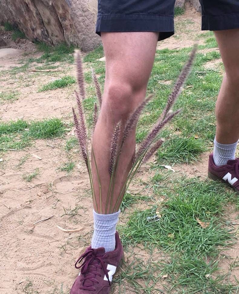 Gewoon een verzameling hilarische foto's #1240